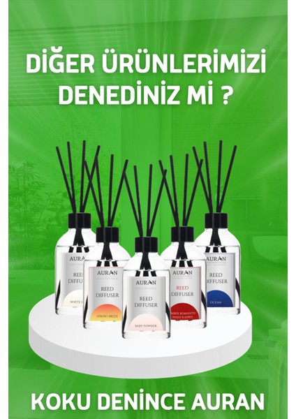Bahar Esintisi Çubuklu Oda Kokusu Bambu Kokusu Kare Şişe Spring Breeze Reed Diffuser 100ml