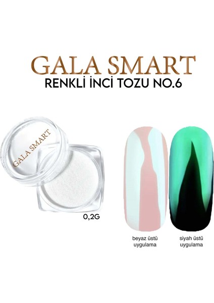 Renkli Inci Tozu 0,2 G - No:6