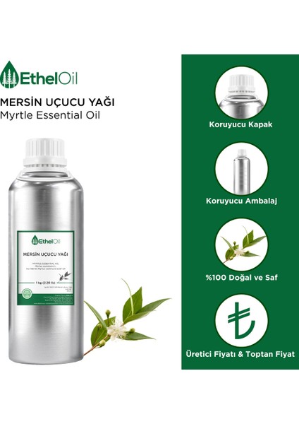 Mersin Uçucu Yağı - Etheloil - 1 kg - ve Uçucu Yağ - Üretici Firma, , Toptan Satış - Myrtle Essential Oil - Myrtus Communisl fiyatları