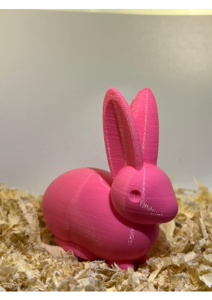 Tavşan(Organik Plastikten Üretilmiştir)