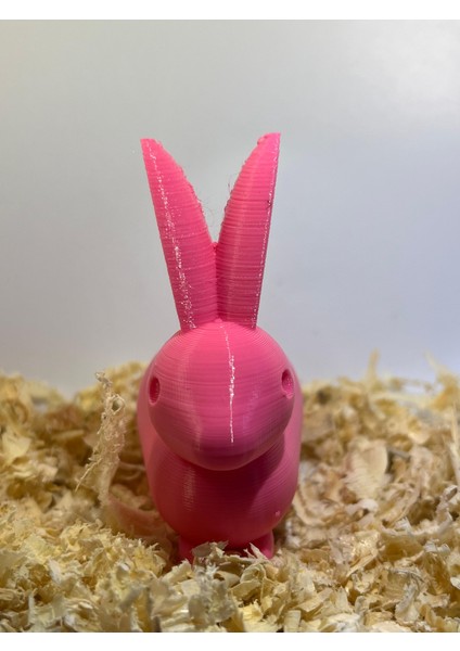 Tavşan(Organik Plastikten Üretilmiştir) modelleri