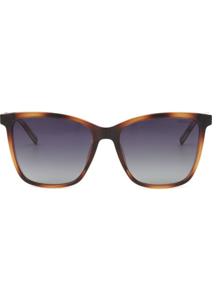 Ds 2289 C 2 Kelebek Kahverengi - Altın Kadın Güneş Gözlüğü modelleri