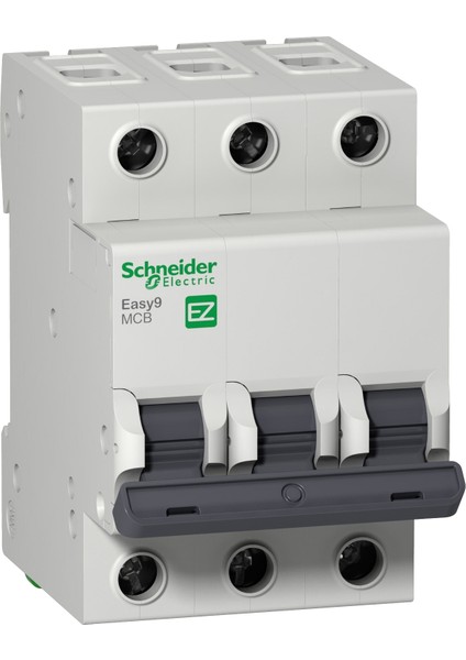 Sigorta 3c 10A 6ka Easy9 - EZ9F56310