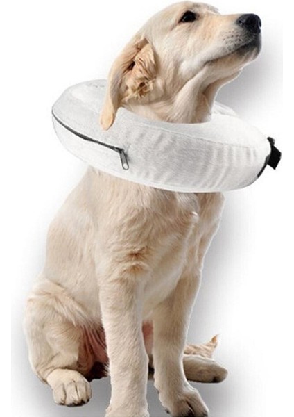 Köpekler ve Kediler Için Şişme Köpek Tasması - M (Yurt Dışından)