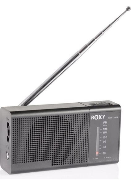RXY-170FM Cep Tipi Mini Analog Radyo