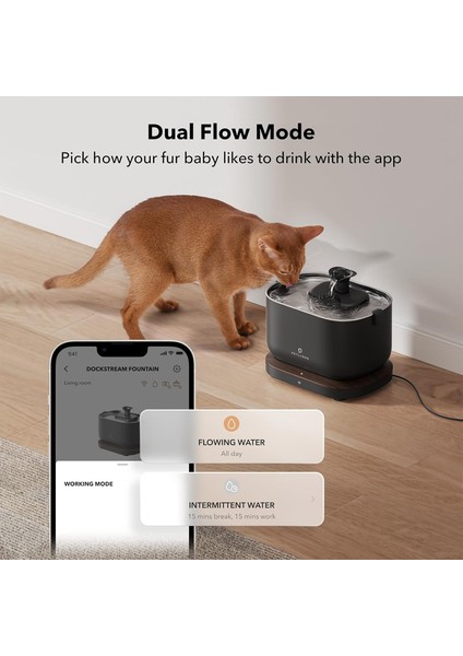Petlıbro Uygulama Izlemeli Kablosuz Pompalı Kedi Su Çeşmesi Siyah
