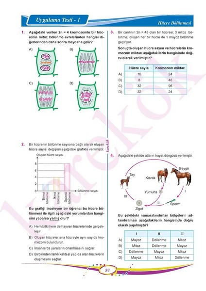 7. Sınıf Fen Bilimleri Konu Anlatımı - Soru Bankası Seti fırsatları