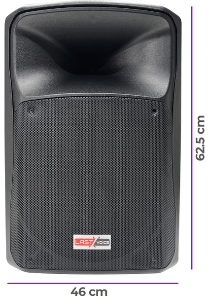 Lx-12 PRO Profesyonel Kabin Hoparlör 12'' 800 Watt