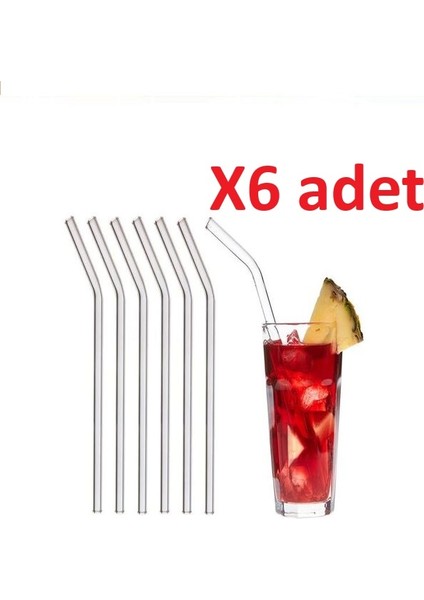 6'lı 9mm 20CM Boyunda Cam Pipet ve 1 Adet Pipet Temizleme Fırçası Seti
