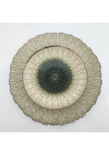 Glasscom Festival Cam Pasta Tabağı Takımı (Yeşil)