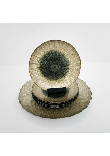 Glasscom Festival Cam Pasta Tabağı Takımı (Yeşil) fiyatları