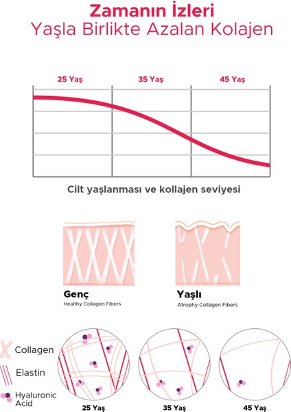Tip 1, Tip 2, Tip 3 Collagen, Saf ve Doğal Hidrolize Kolajen, Hyaluronik Asit, Vitamin C, Biotin, Elastin, 306 gr, 30 Servis