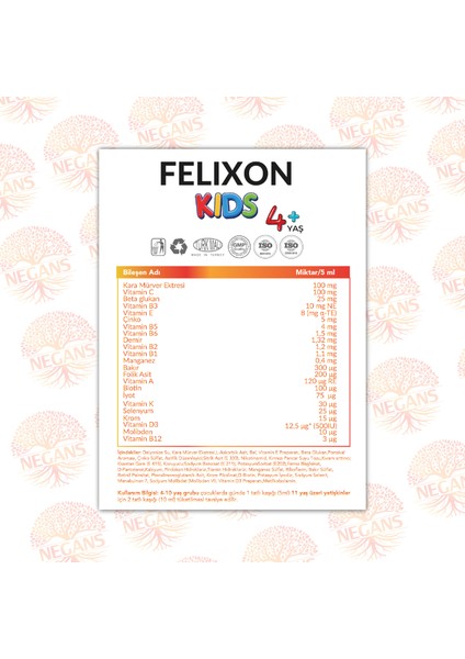 Felixon Kids – Çocuk Multivitamin Şurubu 13 Vitamin ve 8 Mineral (150 ML) Vitamin C, Vitamin E, Çinko, Vitamin B6, Demir, Selenyum, Çinko, Vitamin B5