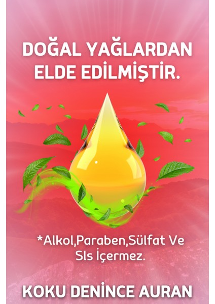 Karpuz Esansiyel Uçucu Koku Yağı Difüzör Esansı Buhurdanlık Yağı Aromaterapi Yağı 30ml