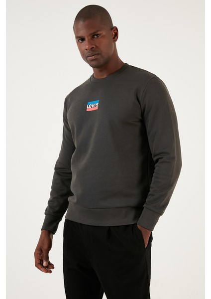 Standard Graphic Crewneck Sweatshirt