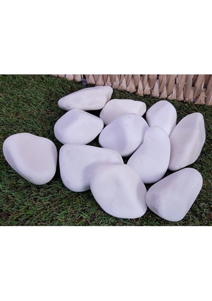 Dolomit Taş 25 kg 4-6 cm Dere Taşı Çakıl Taşı Bahçe Süs Taşı Dolamit Taş Dekoratif Taş fiyatları