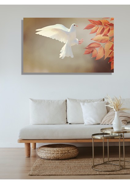 Beyaz Güvercin 50X70 Kanvas Tablo
