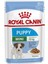 Royal Canin Mini Puppy Yaş Mama Pouch 85GR 1