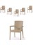 Alpsancup Ambalaj Rattan 6'lı Modern Lüx Bahçe&balkon,teras Sandelye 1