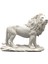 Yürüyen Aslan Biblo 5