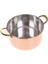 Premium Collection Pureland Tencere 17CM 5