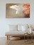 Beyaz Güvercin 50X70 Kanvas Tablo 1