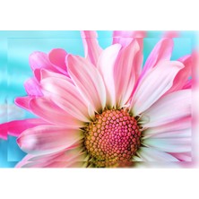Pembe Papatya 50X70 Kanvas Tablo