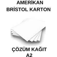 Amerikan Bristol Karton A2 42X59.4 cm 400 gr - 100 Adet