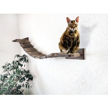 Torbreck Kedi Tırmalamaları | Kedi Aksesuarları | Kedi Basamakları | Kedi Köprüsü