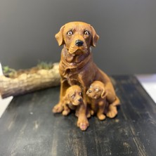 Tasarloxi Çift 2 Yavrulu Dekoratif Retriever Köpek