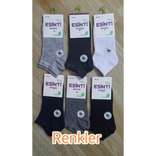 Esinti Bayan Babu Patik Dikişsiz Çorap 12 Adet