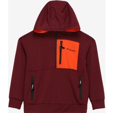 Discovery Expedition Mürdüm Erkek Çocuk Kapüşonlu Oversize Sweatshirt D3WB-SWT13