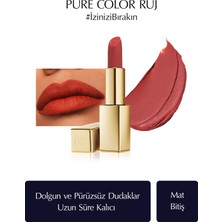 Estee Lauder Mat Bitişli Ruj - Pure Color Matte Lipstick - 3.5gr - Renk: 666 Captivated