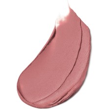 Estee Lauder Mat Bitişli Ruj - Pure Color Matte Lipstick - 3.5gr - Renk: 836 Love Bite