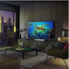 LG OLED48C34LA 48" 122 Ekran Uydu Alıcılı 4K Ultra HD webOS Smart OLED TV