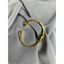 Stainless Steel Çelik Yılan Kelepçe