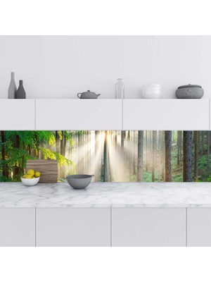 Sticker Art Mutfak Tezgah Arası Folyo Fayans Kaplama Folyosu Panoramik Orman 60X200 cm