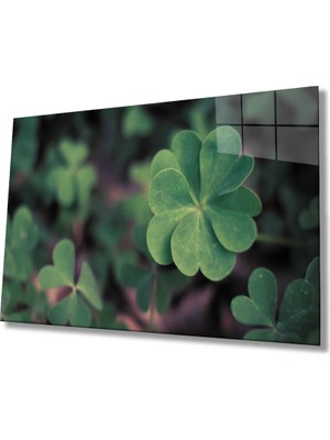 Miray Life Yeşil Bitki Cam Tablo    Green Plant