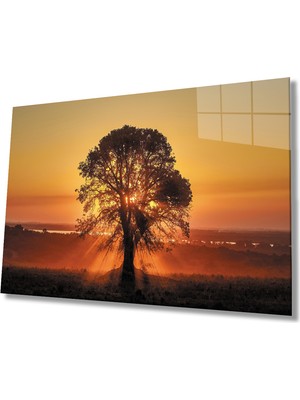 Gün Batımı Manzarasında Ağaç Cam Tablo