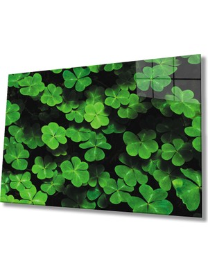 Miray Life Yeşil Yonca Green Clover