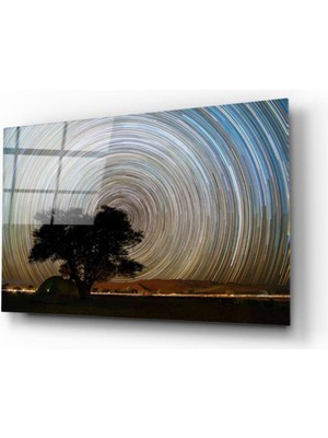 Miray Life Ağaç ve Girdap Cam Tablo