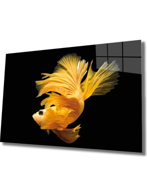 Miray Life Sarı Balık Cam Tablo Yellow Fish