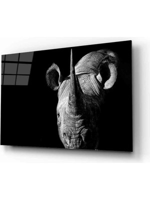 Miray Life Gergedan Hayvan  Cam Tablo