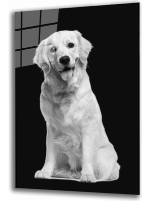 Miray Life Köpek Hayvan  Cam Tablo