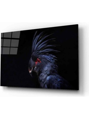 Miray Life Papağan Hayvan  Cam Tablo