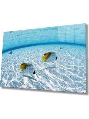 Miray Life Balıklar Sualtı Cam Tablo