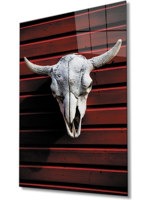 Miray Life Boynuz Cam Tablo