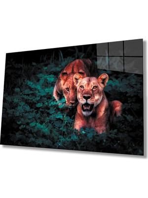 Miray Life Aslan Cam Tablo