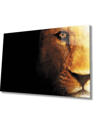 Miray Life Aslan Cam Tablo