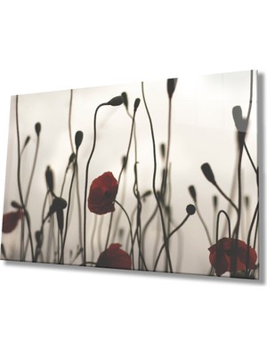 Miray Life Gelincik Çiçeği Cam Tablo    Poppy Flower
